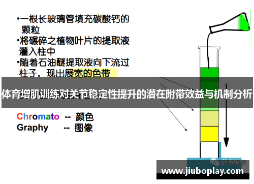 体育增肌训练对关节稳定性提升的潜在附带效益与机制分析